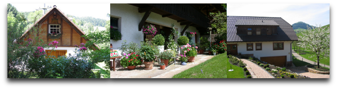 Mockhof - Bachhüsli - Bachhüsliblick